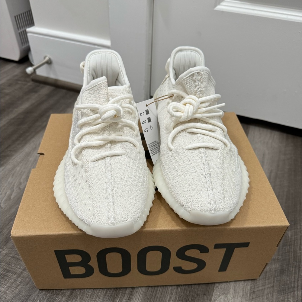 Yeezy boost 350 V2
